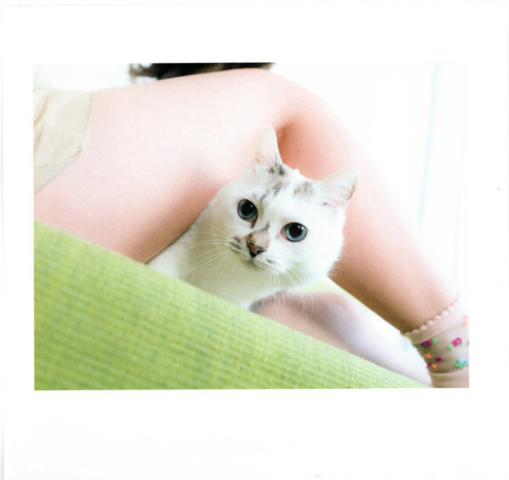 [写真图集]青山裕企摄影写真集猫咪与妹腿[274MB]-写真-『游乐宫』Youlegong.com 第3张