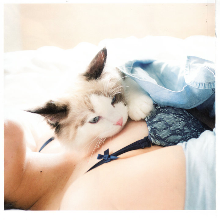 萌细胞-Mengxibao.com-青山裕企摄影写真集猫咪与美胸 第4张