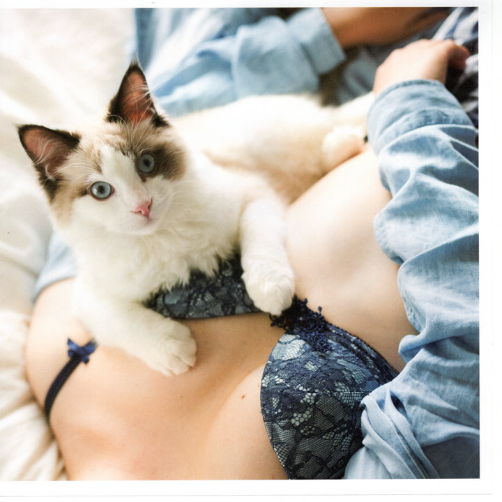 萌细胞-Mengxibao.com-青山裕企摄影写真集猫咪与美胸 第6张