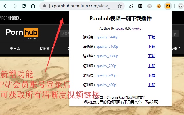 P站视频下载插件（Chrome版）-PH-『游乐宫』Youlegong.com 第1张