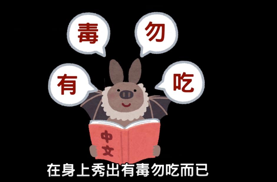 涨知识：冠狀病毒的崛起，冠狀病毒之王蝙蝠--『游乐宫』Youlegong.com 第3张