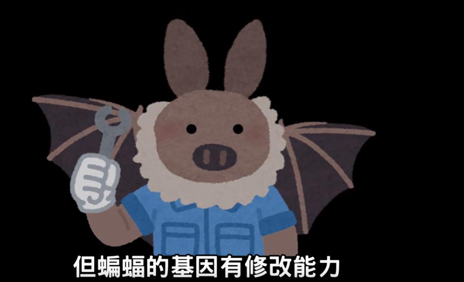 涨知识：冠狀病毒的崛起，冠狀病毒之王蝙蝠--『游乐宫』Youlegong.com 第4张