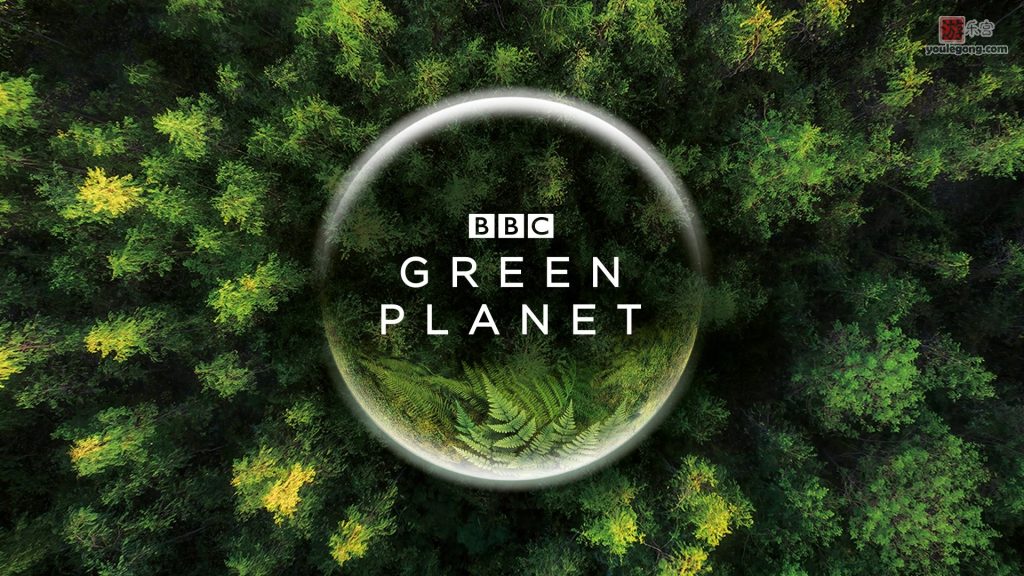 BBC最新纪录片《宇宙》、《绿色星球》分享-bilibili-『游乐宫』Youlegong.com 第2张